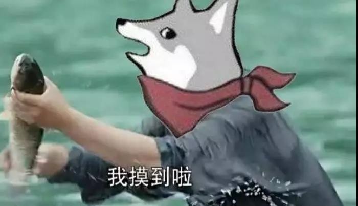 摸鱼